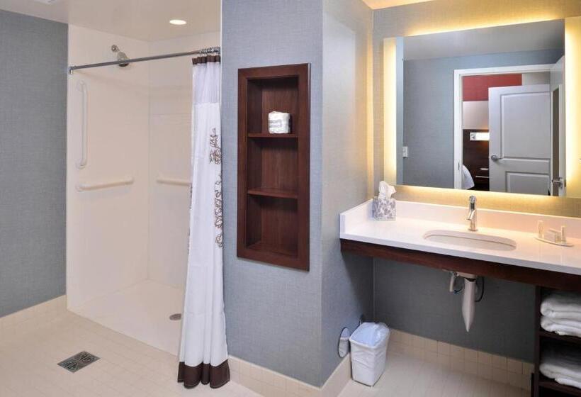 Люкс, Residence Inn By Marriott East Lansing