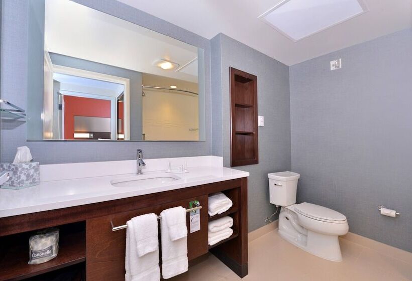Люкс, Residence Inn By Marriott East Lansing