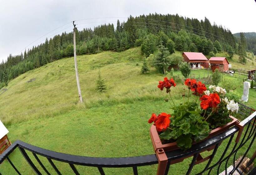 اتاق استاندارد سه نفره, Casa Natalia Raisa Arieșeni