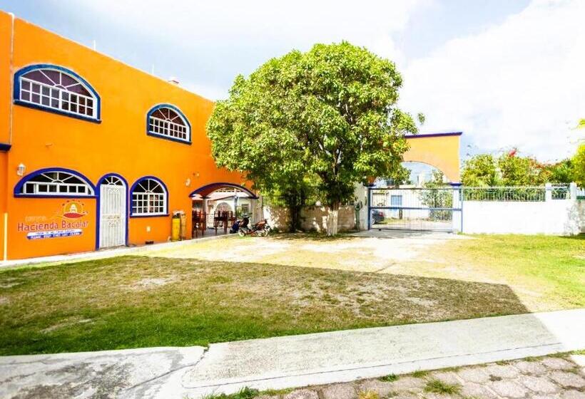 スタンダードルーム, Hacienda Bacalar