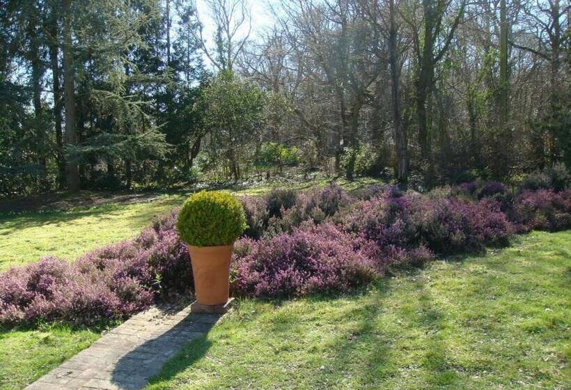 Стандартный Номер Кровать Кинг, White Lodge B&b