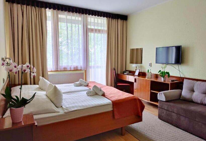 Студио Стандарт с Балконом, Apartman