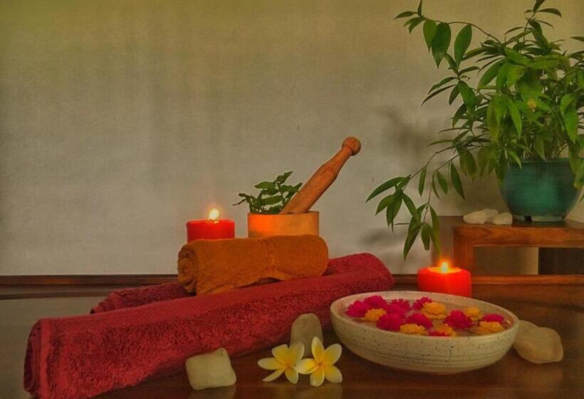 Номер Стандарт, Villa Velmarie Yoga And Ayurveda House All Inclusive