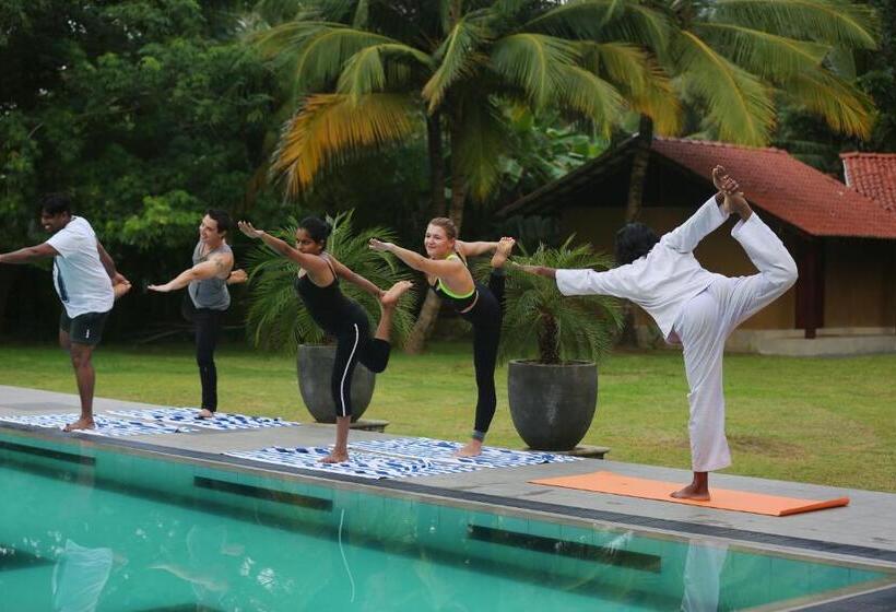 Номер Стандарт, Villa Velmarie Yoga And Ayurveda House All Inclusive