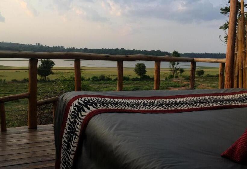 Номер Стандарт, Evolve Back  Kabini