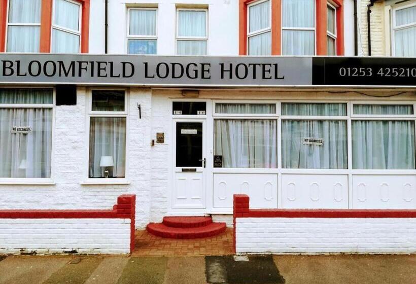 Üç Kişilik Rahat Oda, Bloomfield