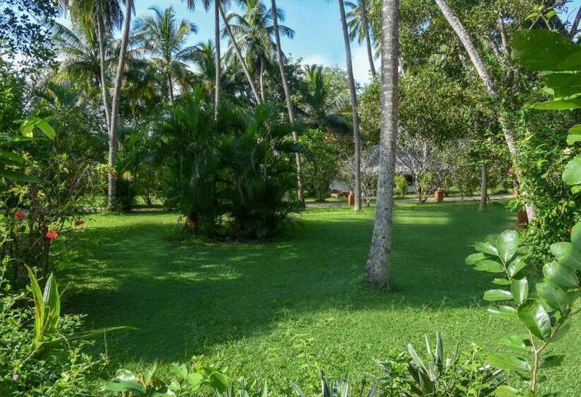 Номер Economy, Eva Lanka Hotel   Beach & Wellness