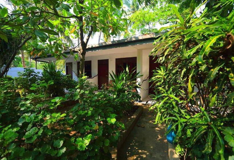 Одноместный Номер Вид на Бассейн, Jagabay Resort & Surfing School