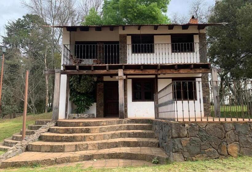 ファミリールーム, Hacienda Venta De Guadalupe