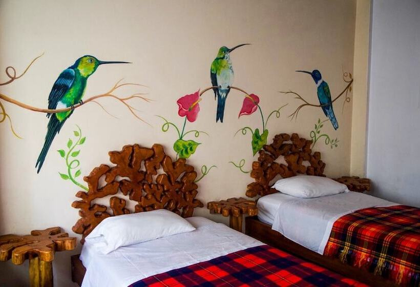 Номер Стандарт, Hosteria Hachacaspi
