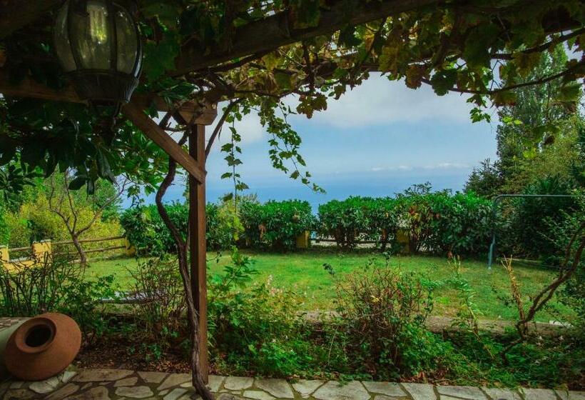 Дом 1 Спальня, Ellis Full Guest House
