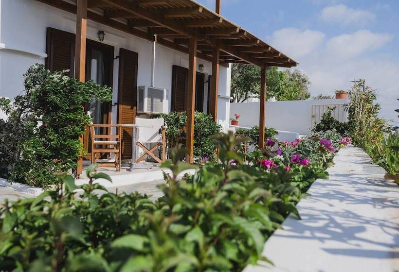 Номер Стандарт, Petros Studios & Suites