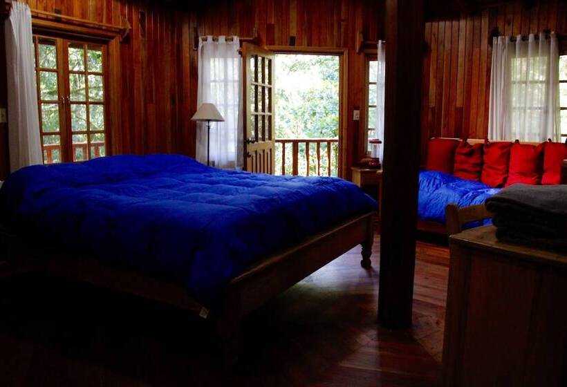 Хижина, Los Quetzales Ecolodge & Spa