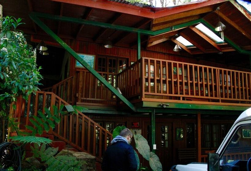 Хижина, Los Quetzales Ecolodge & Spa