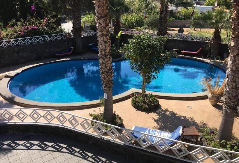 اتاق استاندارد, Al Togo Fitness & Relax
