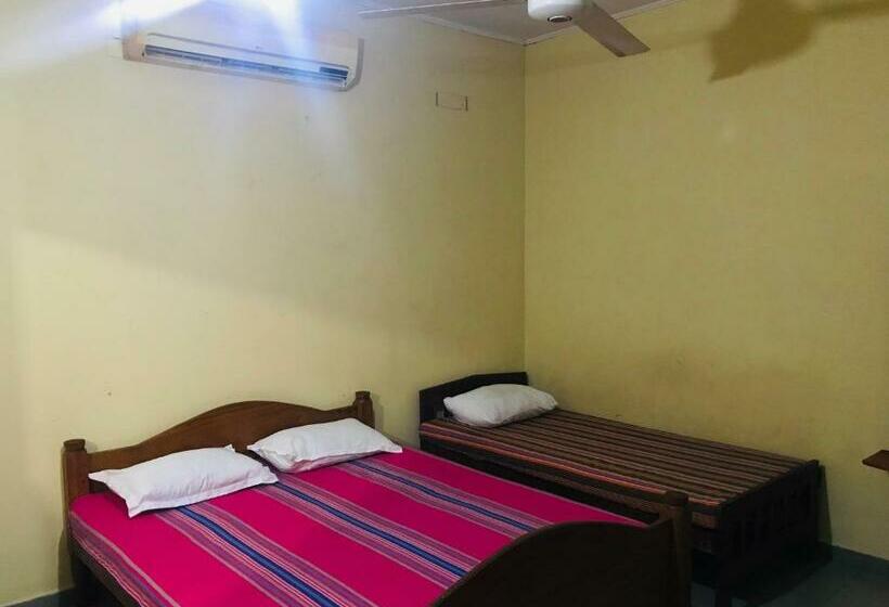 اتاق استاندارد سه نفره, Green Parrot Family Resort