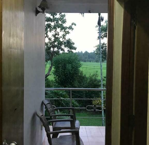اتاق خانوادگی, Green Parrot Family Resort