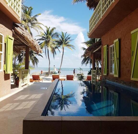 اتاق استاندارد, Caye Casa