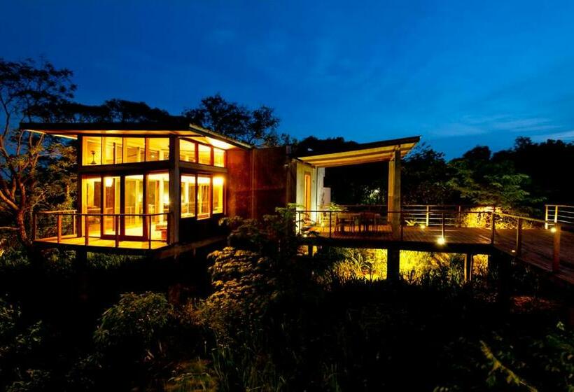 سوییت لوکس, Wild Grass Nature Resort