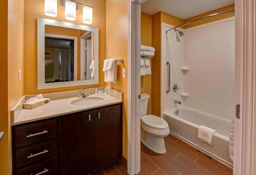 Студио Стандарт Кровать Кинг, Towneplace Suites By Marriott Hattiesburg