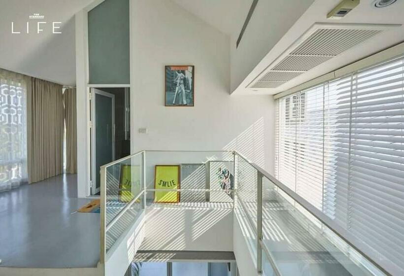 Люкс, Casapapa Homeandspace