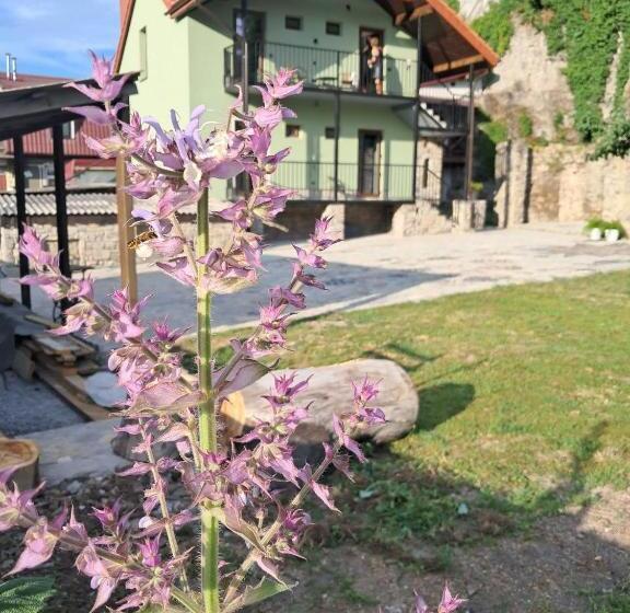 اتاق استاندارد, гостьовий дім білий пацюк