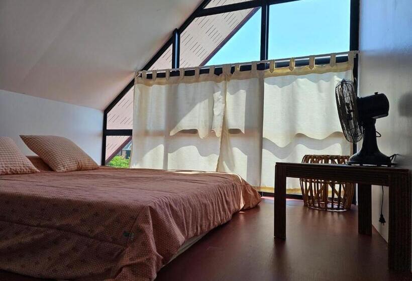 Family Suite, ไร่ปาริชาติ