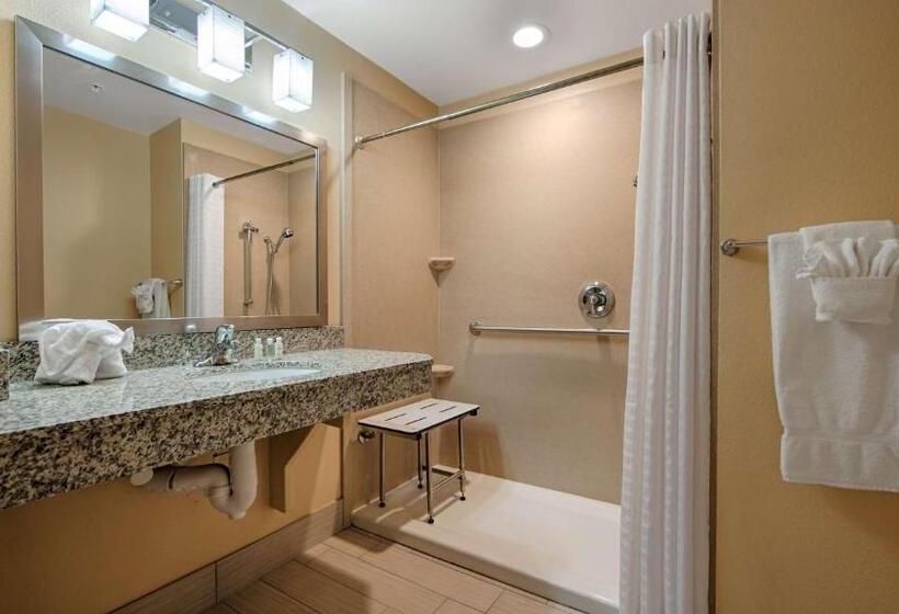 Номер Стандарт Кровать Кинг Адаптированный для Инвалидов, Wyndham Garden Lancaster Ca