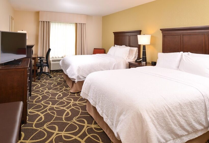 Номер Стандарт 2 Двуспальные Кровати, Hampton Inn Omaha Midtownaksarben Area