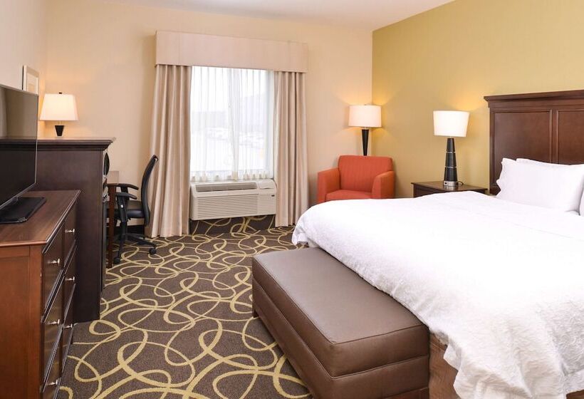 Номер Стандарт Адаптированный для Инвалидов, Hampton Inn Omaha Midtownaksarben Area