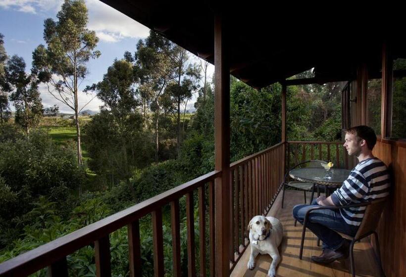 패밀리 방갈로, Hosteria Papagayo Cotopaxi