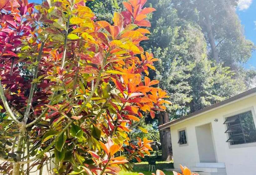 Семейный Номер Deluxe, Snamel Guest House Waterfall