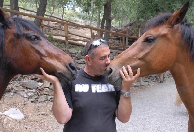 Студия Стандарт, Gli Angeli Agriturismo
