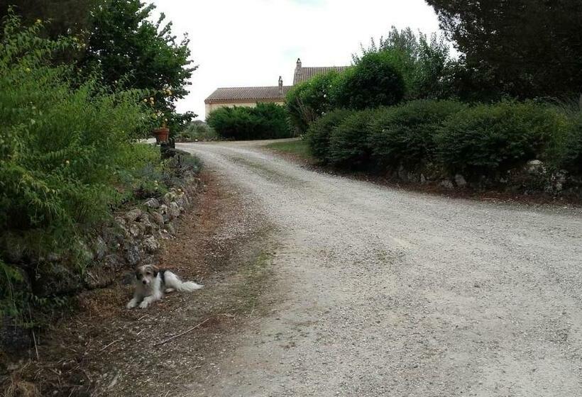 标准间, Maison D Hôtes Afrika Du Queyroux