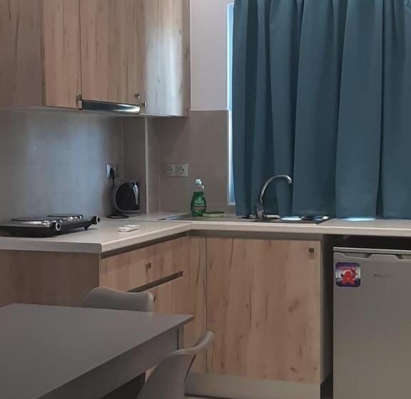 침실 1개 디럭스 아파트, Gold Apartments