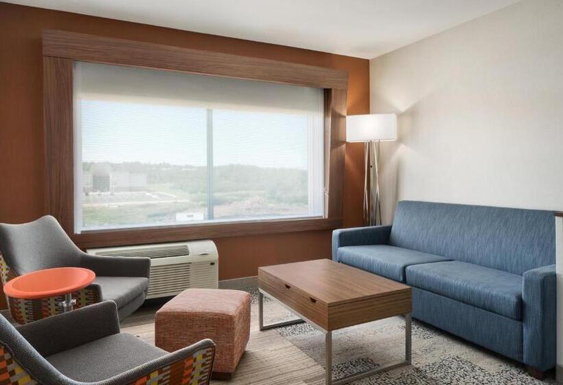 스위트 킹사이즈 침대, Holiday Inn Express & Suites Duluth North   Miller Hill, An Ihg