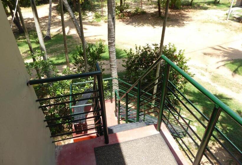 اتاق اکونومی یک تخته, Riviera Resort