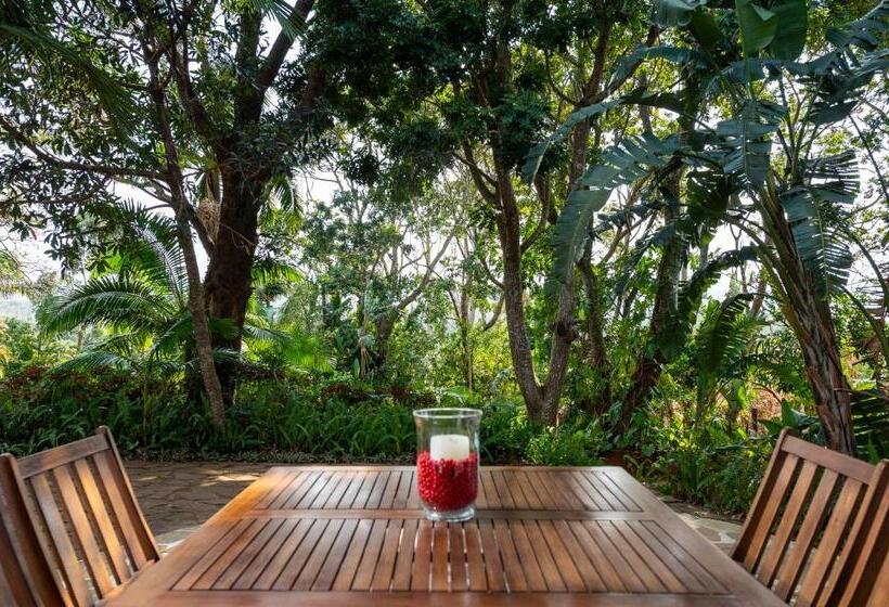 标准间, Zesty Guesthouse