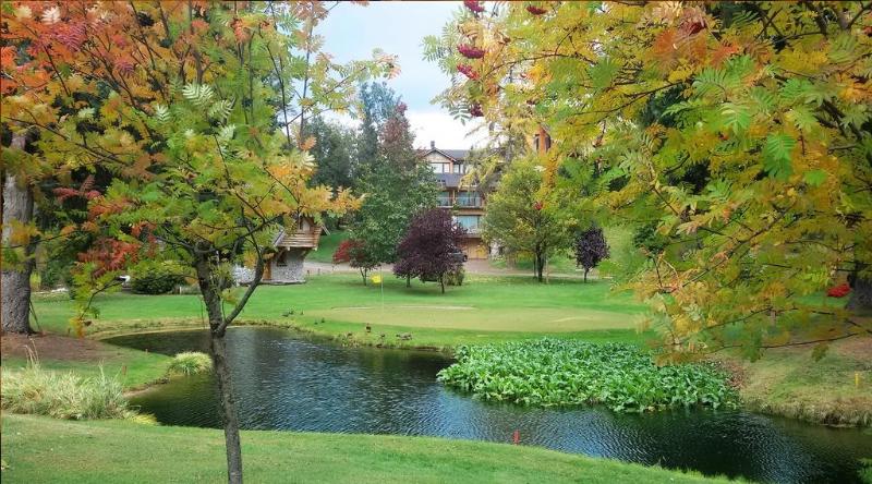 스탠다드 룸, Cabañas Ruca Kuyen Golf & Resort