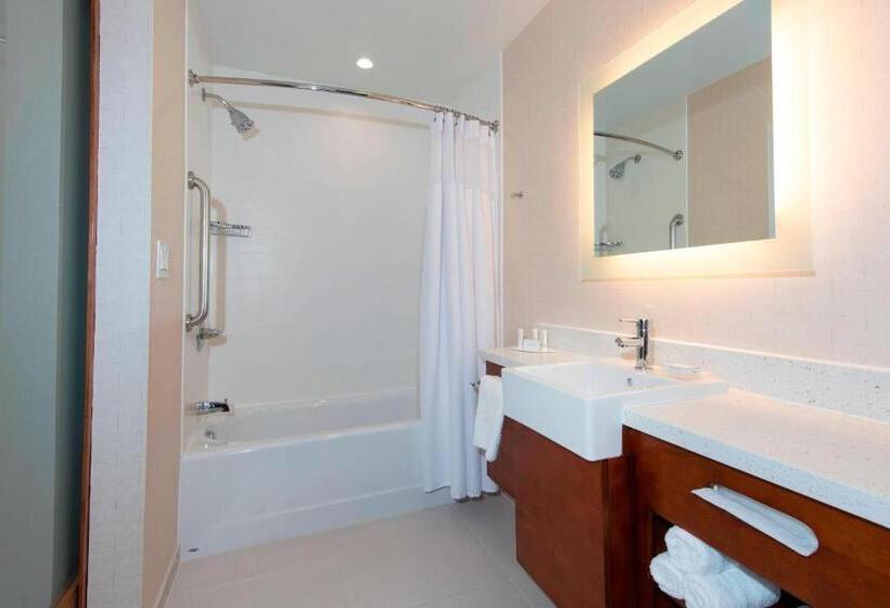 Люкс, Springhill Suites Houston Sugar Land