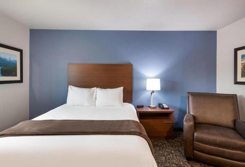 Номер Стандарт Кровать Квин Адаптированный для Инвалидов, My Place Hotel Brookings, Sd
