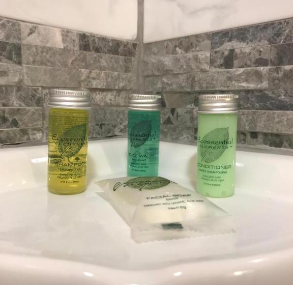 Номер Deluxe Кровать Кинг, Sutter