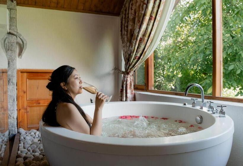 Люкс Deluxe Вид на Горы, Larisa Resort Manali