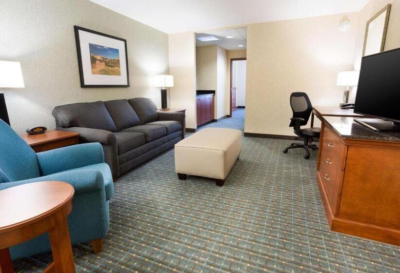 带大床的套房, Drury Inn & Suites Colorado Springs Near The Air Force Academy