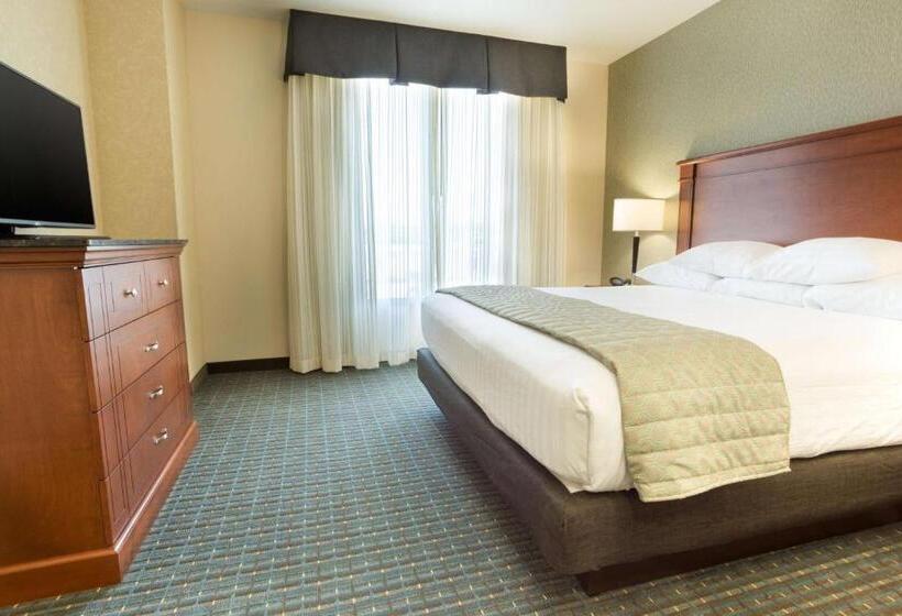 带大床的标准工作室, Drury Inn & Suites Colorado Springs Near The Air Force Academy