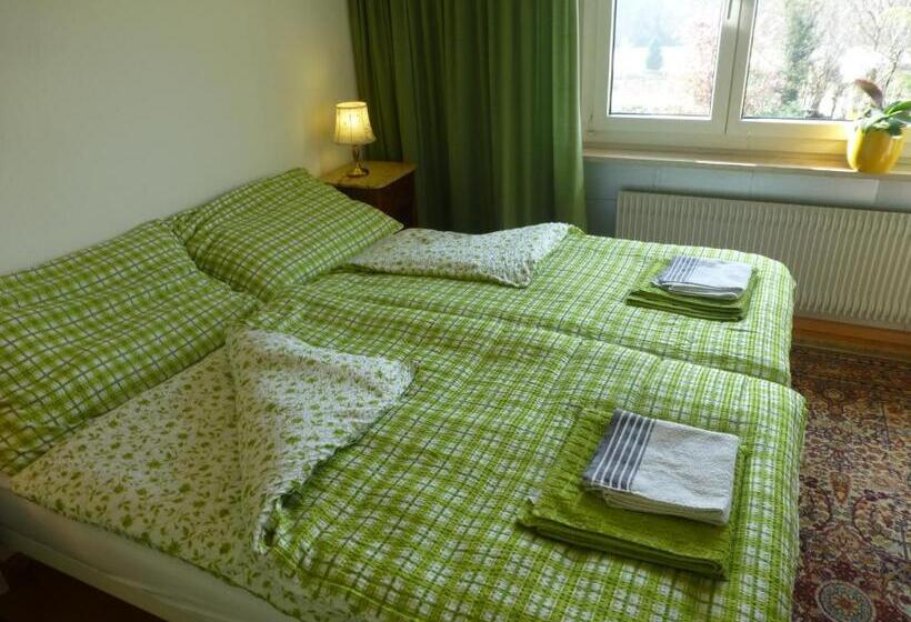 Номер Стандарт Совместная Ванная, B&b Pappelweg  2