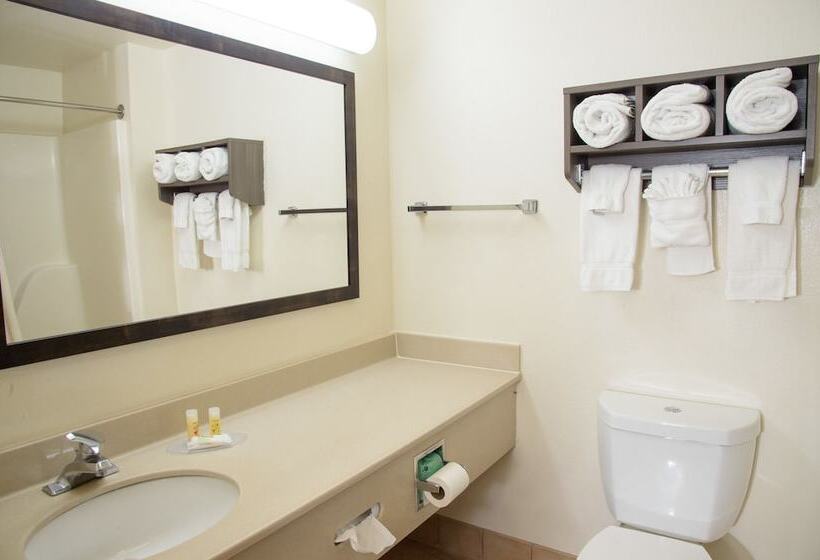 غرفه قياسيه سريرين مزدوجين, Pigeon River Inn