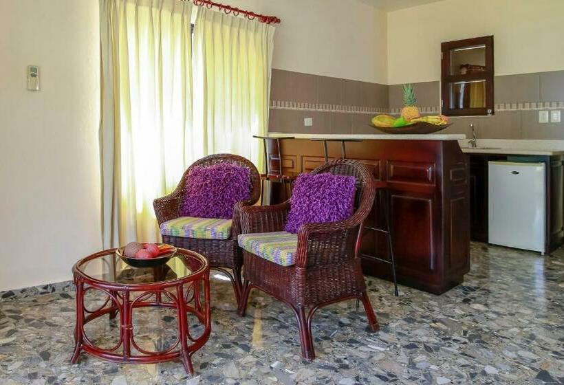 Студия Стандарт, Cabarete Palm Beach Condos
