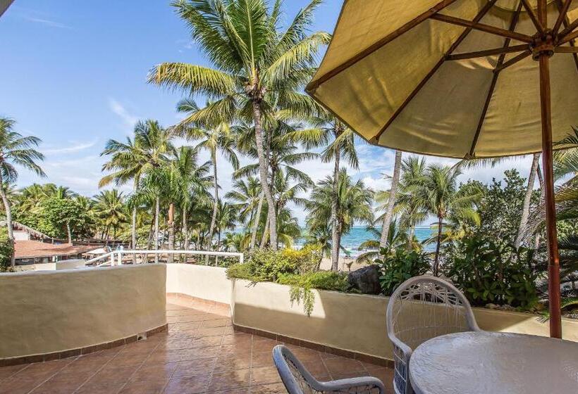 Апартаменты Пентхаус 1 Спальня, Cabarete Palm Beach Condos