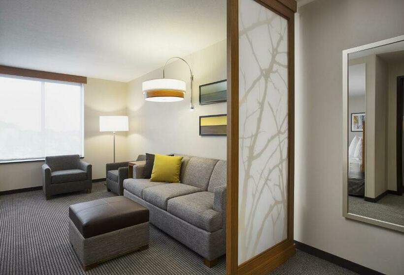 Quarto Standard Cama King, Hyatt Place Chicago Midway Airport